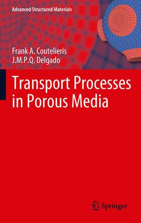 Delgado / Coutelieris |  Transport Processes in Porous Media | Buch |  Sack Fachmedien