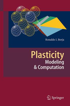 Borja |  Plasticity | Buch |  Sack Fachmedien
