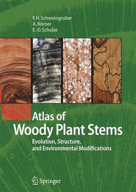 Schweingruber / Börner / Schulze |  Atlas of Woody Plant Stems | Buch |  Sack Fachmedien