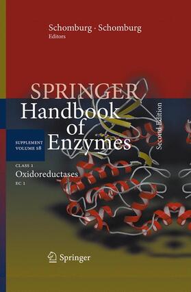 Schomburg / Chang |  Class 1 Oxidoreductases | Buch |  Sack Fachmedien