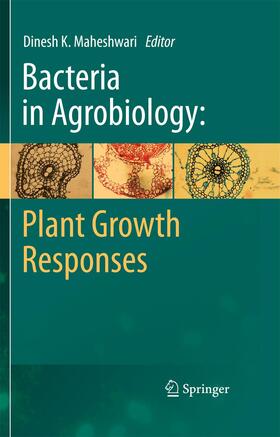 Maheshwari |  Bacteria in Agrobiology: Plant Growth Responses | Buch |  Sack Fachmedien