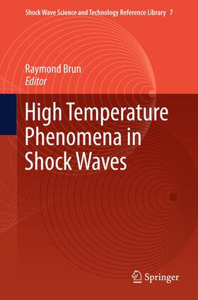 Brun |  High Temperature Phenomena in Shock Waves | Buch |  Sack Fachmedien