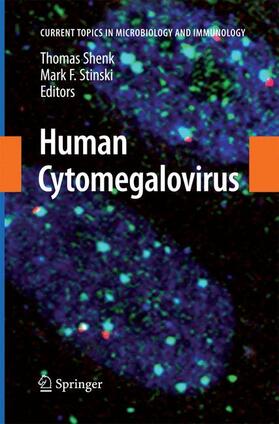 Stinski / Shenk |  Human Cytomegalovirus | Buch |  Sack Fachmedien