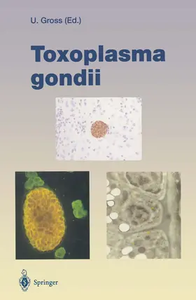 Gross |  Toxoplasma gondii | Buch |  Sack Fachmedien