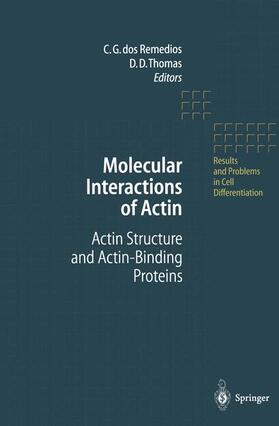 Thomas / dos Remedios |  Molecular Interactions of Actin | Buch |  Sack Fachmedien