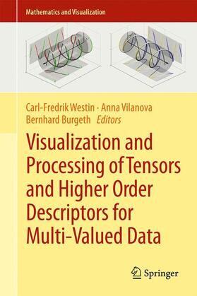 Westin / Burgeth / Vilanova |  Visualization and Processing of Tensors and Higher Order Descriptors for Multi-Valued Data | Buch |  Sack Fachmedien