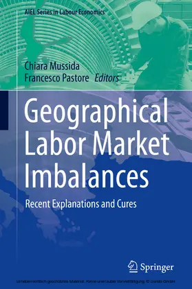 Mussida / Pastore |  Geographical Labor Market Imbalances | eBook | Sack Fachmedien