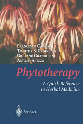 Capasso / Gaginella / Grandolini | Phytotherapy | E-Book | sack.de