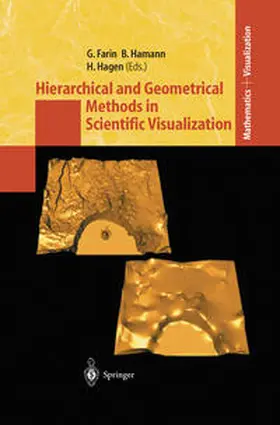 Farin / Hamann / Hagen |  Hierarchical and Geometrical Methods in Scientific Visualization | eBook | Sack Fachmedien