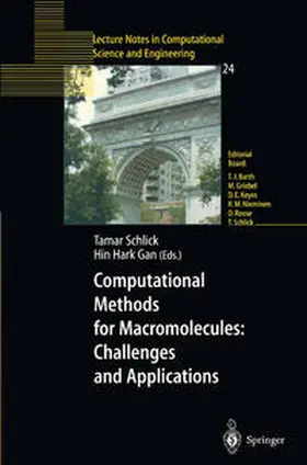 Schlick / Gan |  Computational Methods for Macromolecules: Challenges and Applications | eBook | Sack Fachmedien