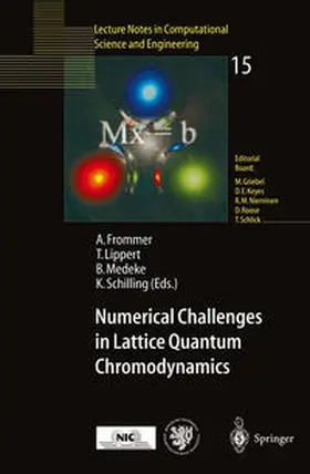 Frommer / Lippert / Medeke |  Numerical Challenges in Lattice Quantum Chromodynamics | eBook | Sack Fachmedien