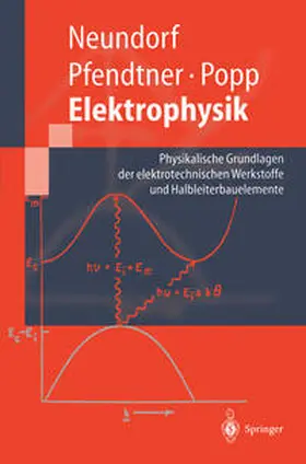 Neundorf / Pfendtner / Popp |  Elektrophysik | eBook | Sack Fachmedien