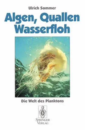 Sommer |  Algen, Quallen, Wasserfloh | eBook | Sack Fachmedien