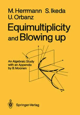 Herrmann / Ikeda / Orbanz |  Equimultiplicity and Blowing Up | eBook | Sack Fachmedien
