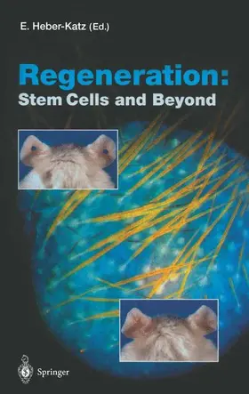 Heber-Katz |  Regeneration: Stem Cells and Beyond | Buch |  Sack Fachmedien