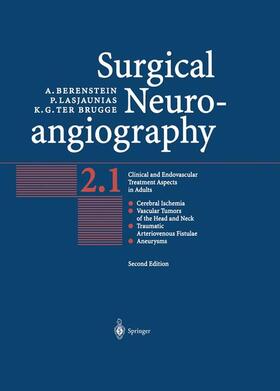 Berenstein / brugge / Lasjaunias |  Surgical Neuroangiography | Buch |  Sack Fachmedien