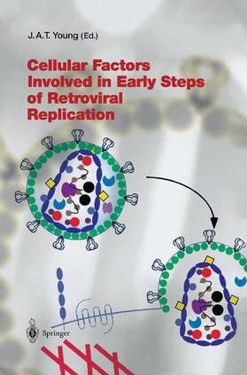 Young |  Cellular Factors Involved in Early Steps of Retroviral Replication | Buch |  Sack Fachmedien
