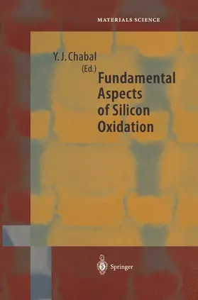 Chabal |  Fundamental Aspects of Silicon Oxidation | Buch |  Sack Fachmedien