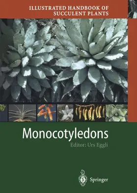 Eggli |  Illustrated Handbook of Succulent Plants: Monocotyledons | Buch |  Sack Fachmedien