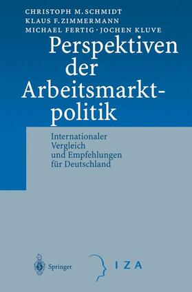 Schmidt / Kluve / Zimmermann |  Perspektiven der Arbeitsmarktpolitik | Buch |  Sack Fachmedien