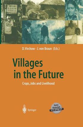 Braun / Virchow |  Villages in the Future | Buch |  Sack Fachmedien