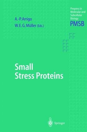 Müller / Arrigo |  Small Stress Proteins | Buch |  Sack Fachmedien