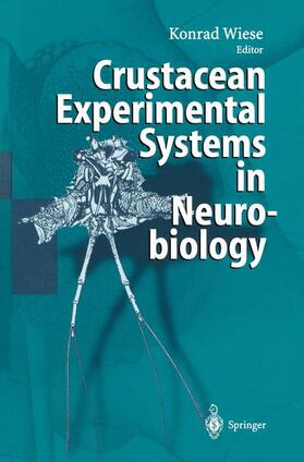 Wiese |  Crustacean Experimental Systems in Neurobiology | Buch |  Sack Fachmedien