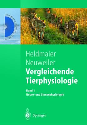 Neuweiler / Heldmaier |  Vergleichende Tierphysiologie | Buch |  Sack Fachmedien