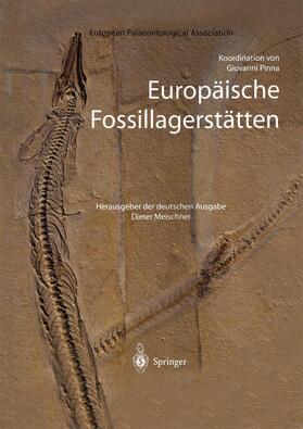 Meischner |  Europäische Fossillagerstätten | Buch |  Sack Fachmedien