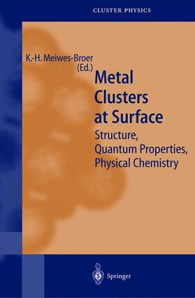 Meiwes-Broer |  Metal Clusters at Surfaces | Buch |  Sack Fachmedien