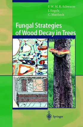 Schwarze / Mattheck / Engels |  Fungal Strategies of Wood Decay in Trees | Buch |  Sack Fachmedien