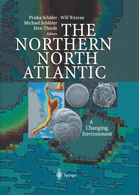 Schäfer / Thiede / Ritzrau |  The Northern North Atlantic | Buch |  Sack Fachmedien
