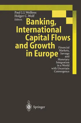 Wolf / Welfens | Banking, International Capital Flows and Growth in Europe | Buch | 978-3-642-63823-7 | sack.de