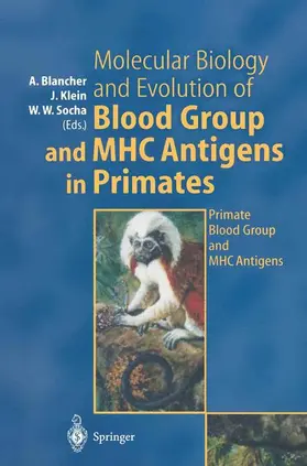 Blancher / Socha / Klein |  Molecular Biology and Evolution of Blood Group and MHC Antigens in Primates | Buch |  Sack Fachmedien