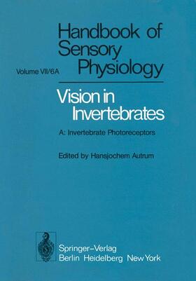 Autrum / Snyder / Bennet |  Comparative Physiology and Evolution of Vision in Invertebrates | Buch |  Sack Fachmedien