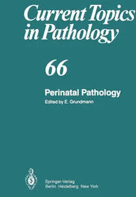 Grundmann |  Perinatal Pathology | eBook | Sack Fachmedien