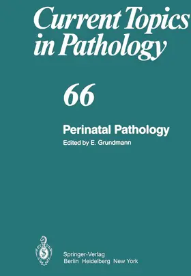 Grundmann | Perinatal Pathology | Buch | 978-3-642-67207-1 | sack.de