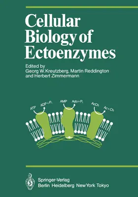 Kreutzberg / Zimmermann / Reddington |  Cellular Biology of Ectoenzymes | Buch |  Sack Fachmedien