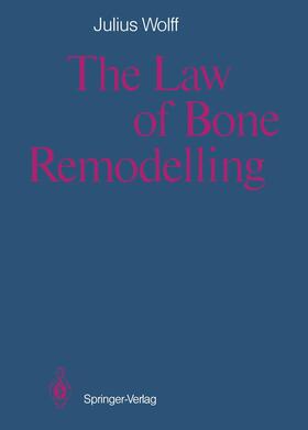 Wolff |  The Law of Bone Remodelling | Buch |  Sack Fachmedien