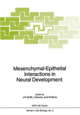 Wolff / Sievers / Berry |  Mesenchymal-Epithelial Interactions in Neural Development | eBook | Sack Fachmedien