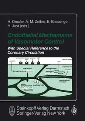 Drexler / Zeiher / Bassenge |  Endothelial Mechanisms of Vasomotor Control | eBook | Sack Fachmedien