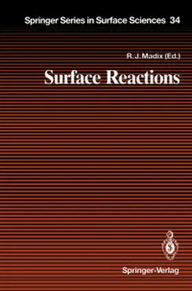 Madix |  Surface Reactions | eBook | Sack Fachmedien