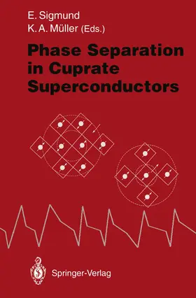 Müller / Sigmund |  Phase Separation in Cuprate Superconductors | Buch |  Sack Fachmedien