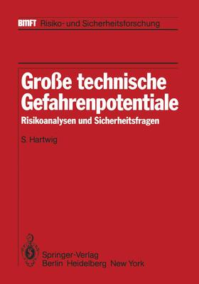 Hartwig |  Große technische Gefahrenpotentiale | Buch |  Sack Fachmedien