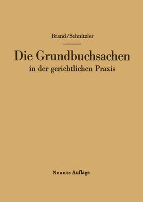 Schnitzler / Brand |  Die Grundbuchsachen in der gerichtlichen Praxis | Buch |  Sack Fachmedien