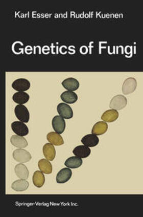 Esser / Kuenen |  Genetics of Fungi | eBook | Sack Fachmedien