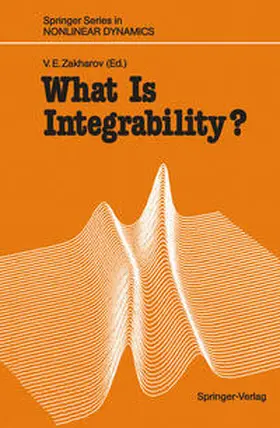 Zakharov |  What Is Integrability? | eBook | Sack Fachmedien