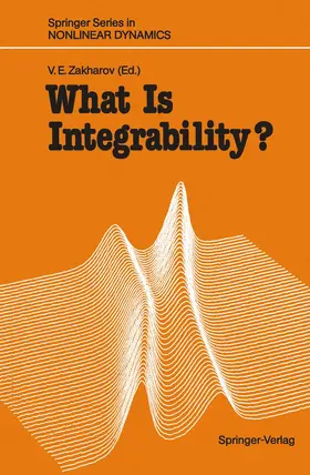 Zakharov |  What Is Integrability? | Buch |  Sack Fachmedien