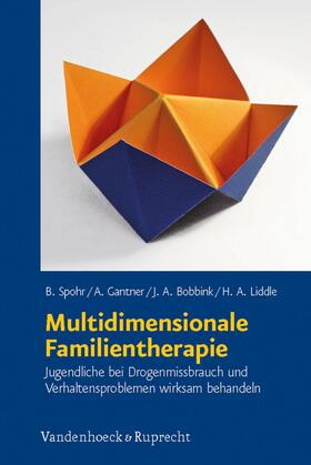 Spohr / Gantner / Bobbink |  Multidimensionale Familientherapie | eBook | Sack Fachmedien