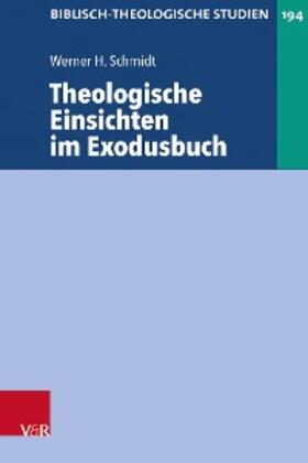 Schmidt / Dietrich / Frey |  Theologische Einsichten im Exodusbuch | eBook | Sack Fachmedien